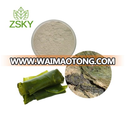 100% Pure Nature Kelp Extract /Laminaria Japonica Extract Fucoidan