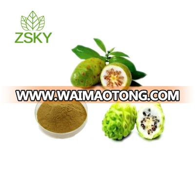 GMP Certified Factory Supply Natural Noni Extract Powder