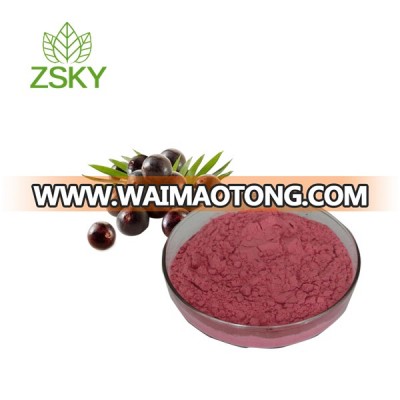 Brazil Acai Berry Extract, Euterpe Badiocarpa Extract