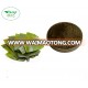 Wholesale Food grade pure sea kelp powder