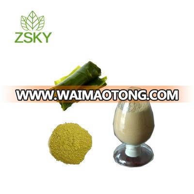 100% Natural Kelp Extract Fucoidan Extract Powder